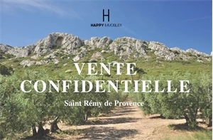 maison à la vente -   13210  SAINT REMY DE PROVENCE, surface 195 m2 vente maison - UBI476917901